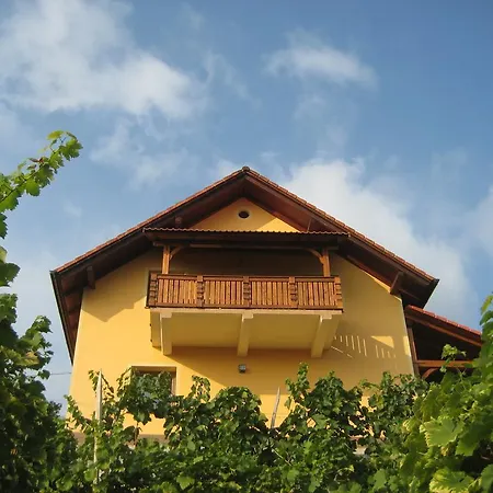 Holiday home Vineyard Ucman *