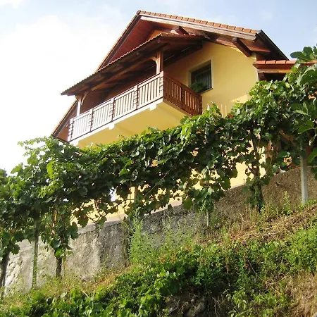 Holiday home Vineyard Ucman