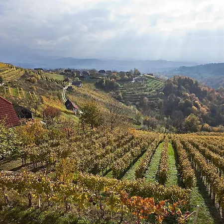 Vineyard Ucman Prázdninový dům *
