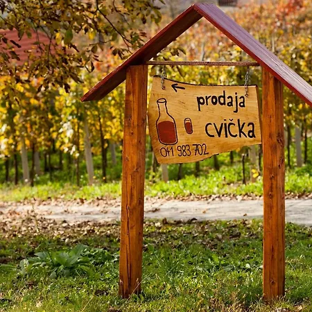 Semesterbostad Vineyard Ucman