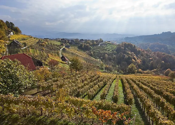 Vineyard Ucman Holiday home *