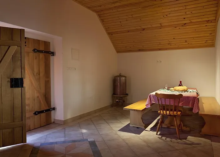 Vineyard Ucman Holiday home Otocec