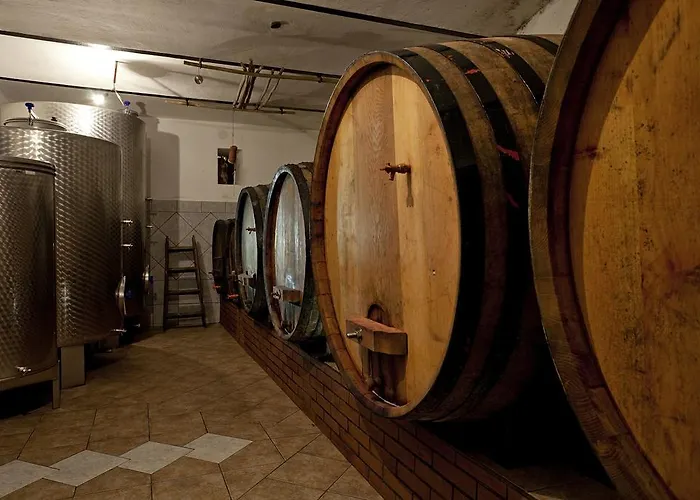 Vineyard Ucman Holiday home