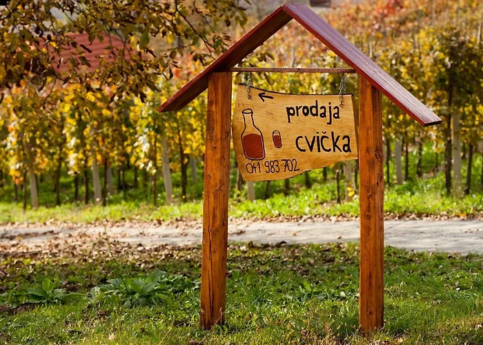 Holiday home Vineyard Ucman